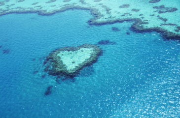 Heart Reef 
Photo Credit: Hayman Great Barrier Reef