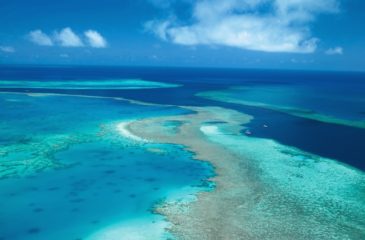Aerial view of the Great Barrier Reef 
Photo Credit: Tourism Australia