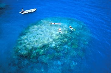 Snorkeling 
Photo Credit: Coral Princess Cruises