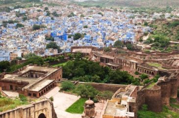 View of Jodhpur from the high walls of Mehrangarh 
Photo Credit: Incredible India