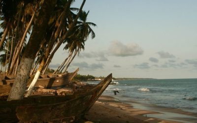 West Africa: Not for the Faint of Heart