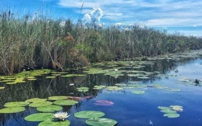 New Documentation Requirements for Minors Traveling to Botswana