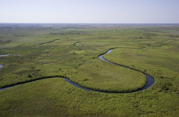 Aerial view of the Kwedi Concession 
Photo Credit: Dana Allen - Wilderness Safaris