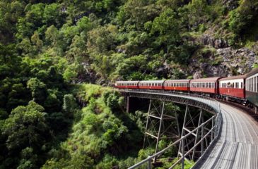 Kuranda Scenic Railway 
Photo Credit: Masaru Kitano snaK Productions - Tourism Australia