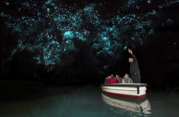 Waitomo Glowworm Caves 
Photo Credit: TNZ