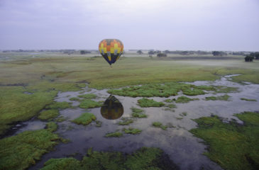 Hot air balloon ride over Busanga floodplains 
Photo Credit: Dana Allen - Wilderness Safaris