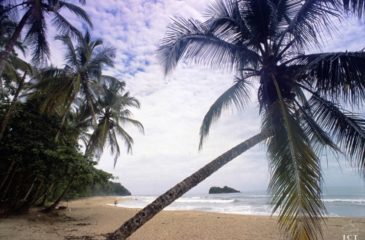 Beautiful beach // Photo Credit to ICT Costarican Tourism Board