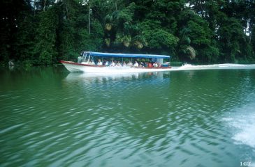 Cruising the canals of Tortuguero // Photo Credit to ICT Costarican Tourism Board 