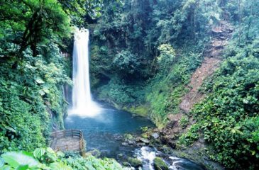 La Paz Waterfall Gardens Nature Park // Photo Credit to ICT Costarican Tourism Board