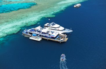 Great Barrier Reef cruise 
Photo Credit: Hamilton Island