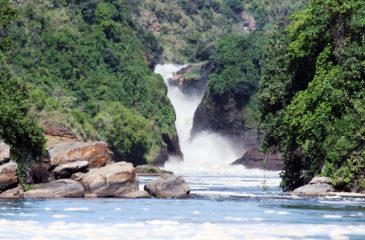Murchison Falls, Uganda 
Photo Credit: Kit Schultze - Esplanade Travel