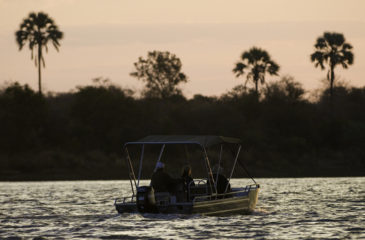Boat trip on the Zambezi River 
Photo Credit: Dana Allen - Wilderness Safaris
