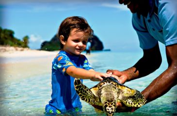 Vomo Island turtle club 
Photo Credit: SW Fiji