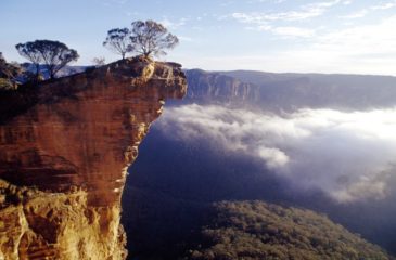 Blue Mountains lookout 
Photo Credit: Tourism Australia