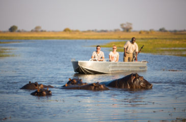 Hippo sighting on boat ride 
Photo Credit: Will Burrard-Lucas - Wilderness Safaris