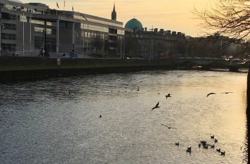 Dublin // Esplanade Travel