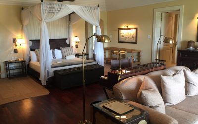 The “New” MalaMala