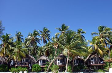Paradise Cove Lodge Beach Bungalows, Aitutaki | Photo by Esplanade